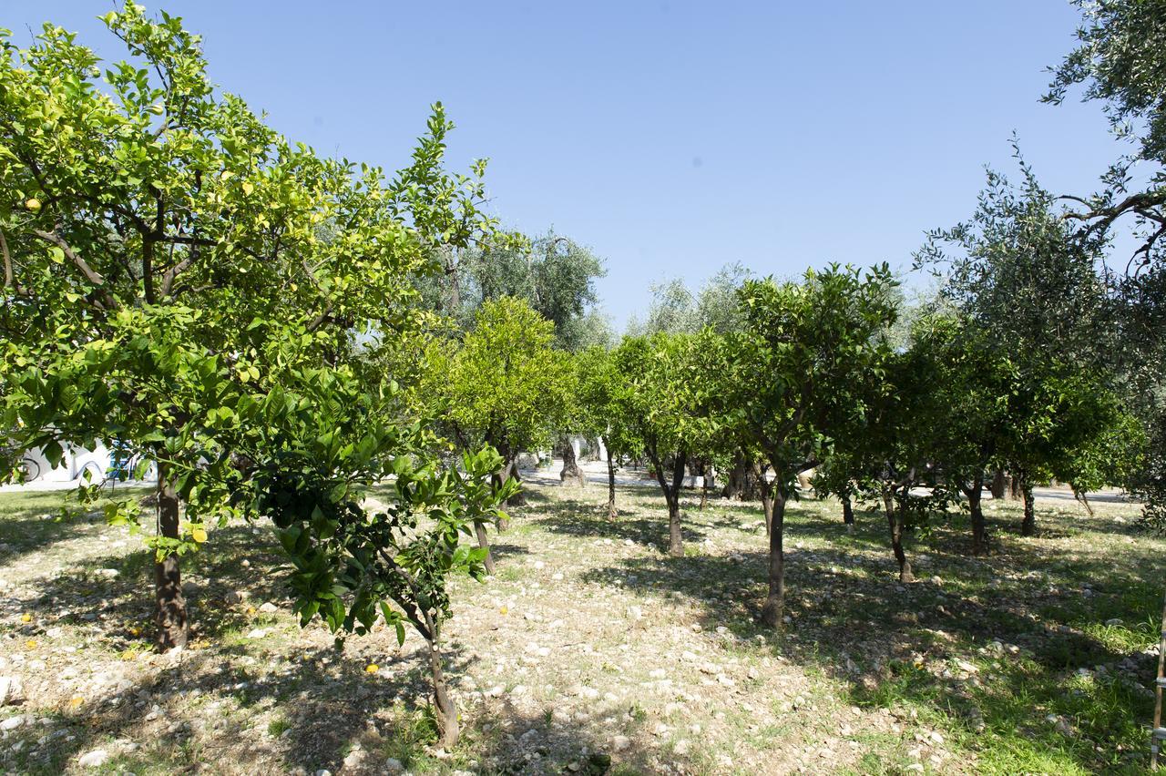 Tenuta Santa Maria Mattinata Luaran gambar